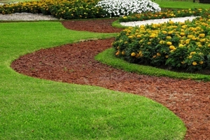 Manicured Yard - Mulch Path