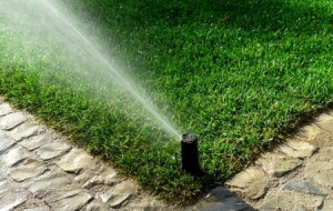 In Ground Sprinkler System